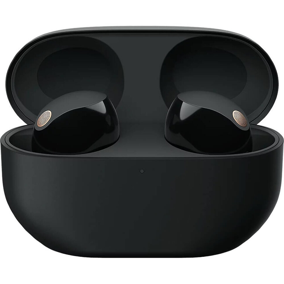 14344.970 Беспроводные наушники Sony WF-1000XM5 Черный (Black) — изображение 1