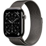 Умные часы Apple Watch Series 11 46mm Slate Titanium Case with Slate Milanese Loop (M/L)
